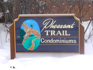 Pheasant Trail subdivision in Arlington Heights, IL