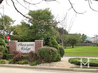Pheasant Trail subdivision in Arlington Heights, IL
