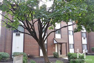 Rosewood subdivision in Arlington Heights, IL