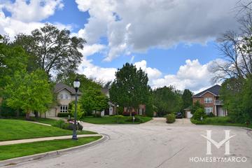 Scarsdale subdivision in Arlington Heights, IL