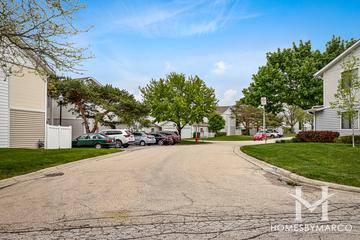 Dunbar Lakes subdivision in Schaumburg, IL