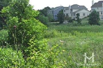 Cambria subdivision in Cary, IL