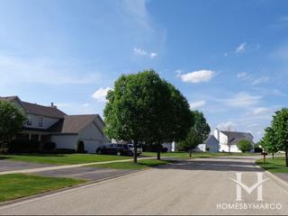 Lakewood Grove subdivision in Round Lake, IL