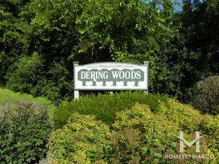 Dering Woods