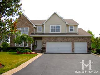 Natures Ridge subdivision in Lindenhurst, IL