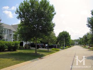 Natures Ridge subdivision in Lindenhurst, IL