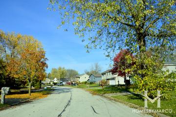 Waterford Woods subdivision in Lindenhurst, IL