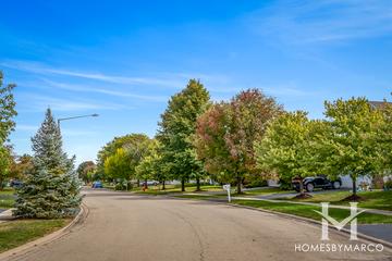 Wedgewood subdivision in Plainfield, IL