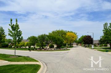 Fernwood Lakes subdivision in Montgomery, IL