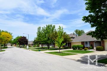Fernwood Lakes subdivision in Montgomery, IL