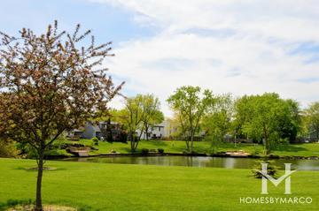 Fernwood Lakes subdivision in Montgomery, IL