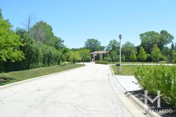 Photos of Architecture Point subdivision in Highland Park, IL