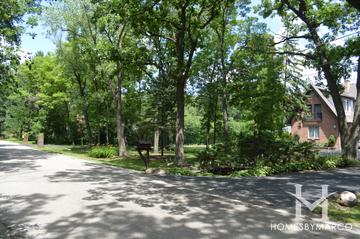 Buena Woods subdivision in Highland Park, IL