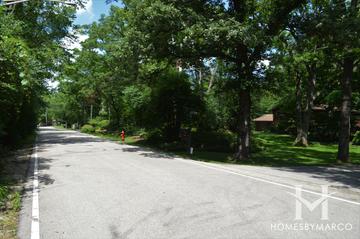 Buena Woods subdivision in Highland Park, IL