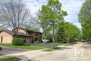 Centennial Park subdivision in Highland Park, IL
