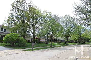 Centennial Park subdivision in Highland Park, IL