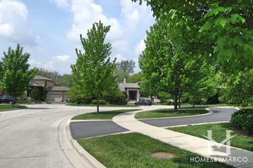 Photos of Daneth subdivision in Highland Park, IL