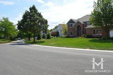 Herons Crossing subdivision in Kildeer, IL