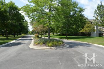 Herons Crossing subdivision in Kildeer, IL