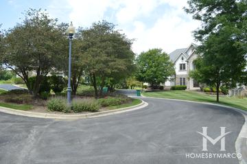 Herons Crossing subdivision in Kildeer, IL