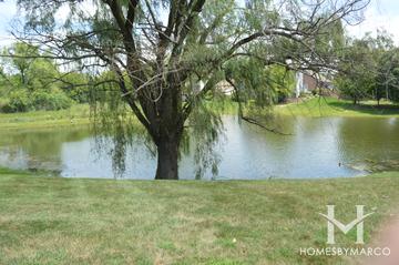 Herons Crossing subdivision in Kildeer, IL