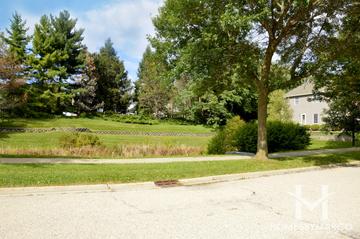 Lions Gate subdivision in Lake Zurich, IL