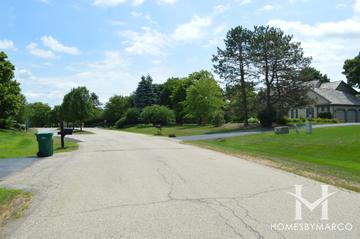 Meadowridge subdivision in Kildeer, IL