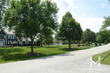 Meadowridge subdivision in Kildeer, IL
