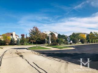 Terrace Lane subdivision in Lake Zurich, IL