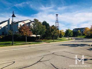 Terrace Lane subdivision in Lake Zurich, IL