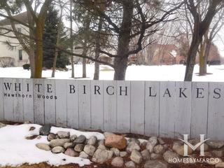 White Birch Lakes subdivision in Hawthorn Woods, IL