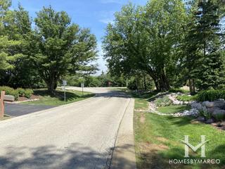 White Birch Lakes subdivision in Hawthorn Woods, IL