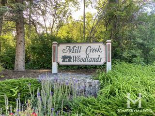 Photos of Mill Creek Woodlands subdivision in Wadsworth, IL