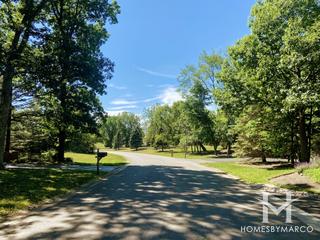 Wadsworth Woods subdivision in Wadsworth, IL