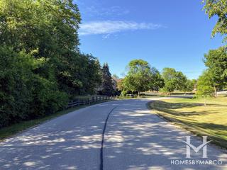 Willows of Wadsworth subdivision in Wadsworth, IL