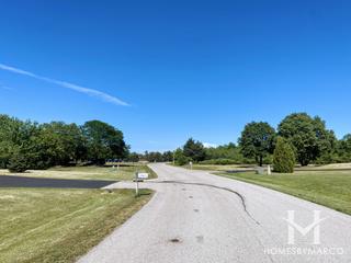 Willows of Wadsworth subdivision in Wadsworth, IL