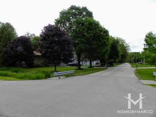 Algonquin Shores subdivision in Algonquin, IL