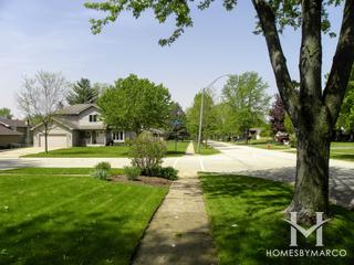 Alta Vista subdivision in Algonquin, IL