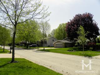 Alta Vista subdivision in Algonquin, IL