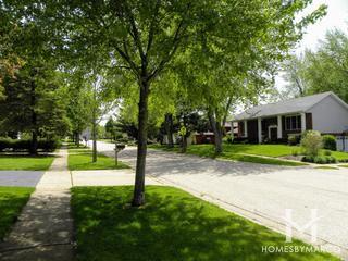 Alta Vista subdivision in Algonquin, IL