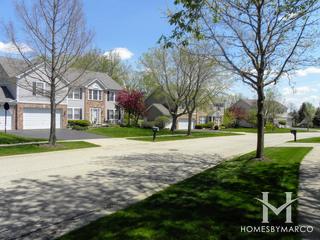 Arbor Hills subdivision in Algonquin, IL