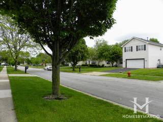 Carrington subdivision in Algonquin, IL