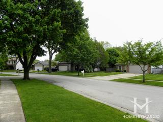 Cinnamon Creek subdivision in Algonquin, IL