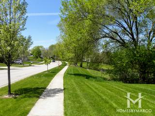 Falcon Ridge subdivision in Algonquin, IL