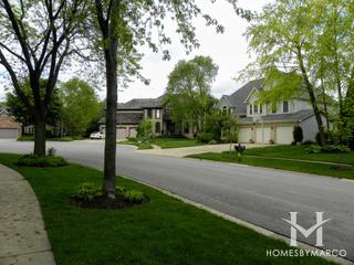 Glenmoor subdivision in Algonquin, IL