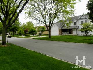 Glenmoor subdivision in Algonquin, IL