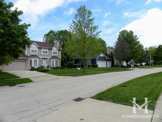 Photos of Hampton Woods subdivision in Algonquin, IL