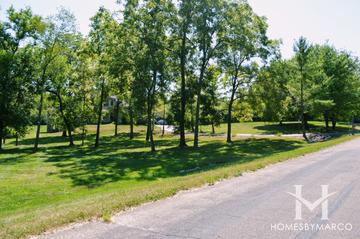 Buckhaven subdivision in Barrington Hills, IL