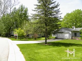 Photos of Indian Grove subdivision in Algonquin, IL