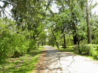 Indian Grove subdivision in Algonquin, IL